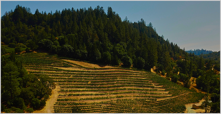 Vineyards For The 2015 Knights Bridge Cabernet Sauvignon
